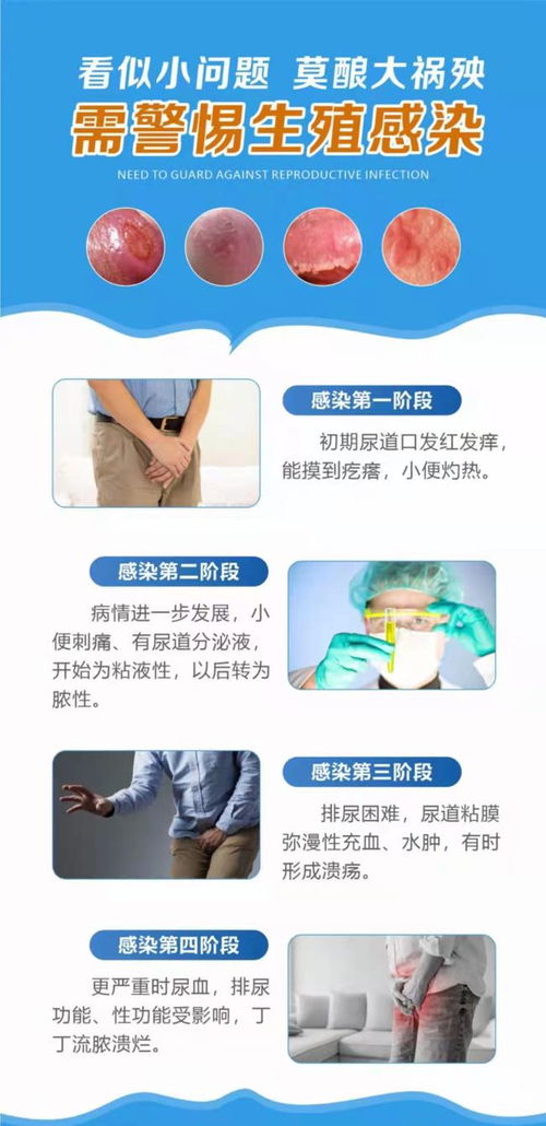 ���̲�������ɢ��������