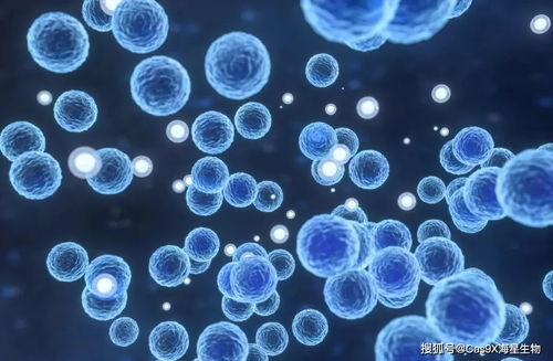 ���̲���Ѫ����ܴ�Ⱦ