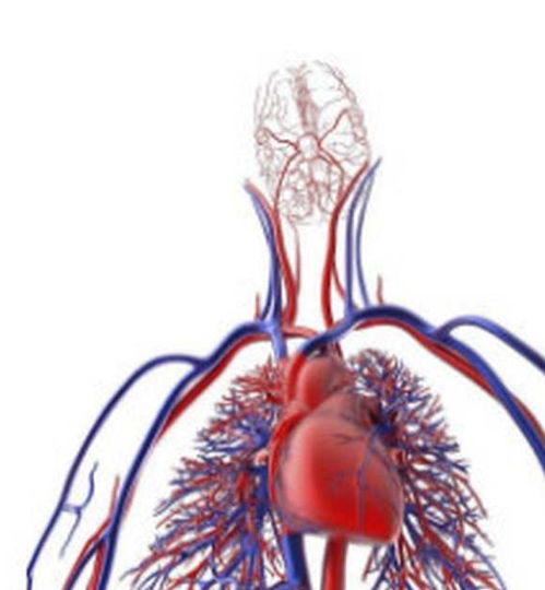 剖宫阻断艾滋病母婴传播 剖宫阻断艾滋病母婴传播