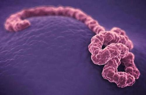 艾滋病自查的10个方法(女性得了性疾病有什么症 艾滋病自查的10个方法(女性得了性疾病有什么症