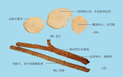 2025������������