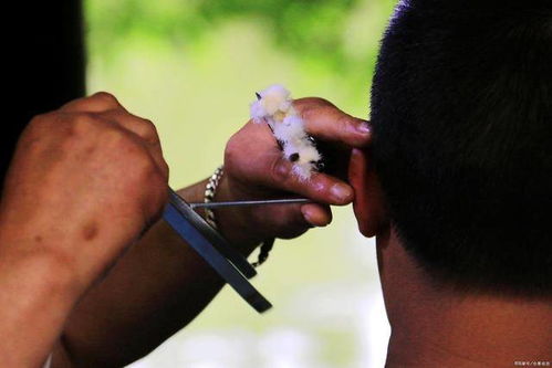 ���Ӵ������̲���