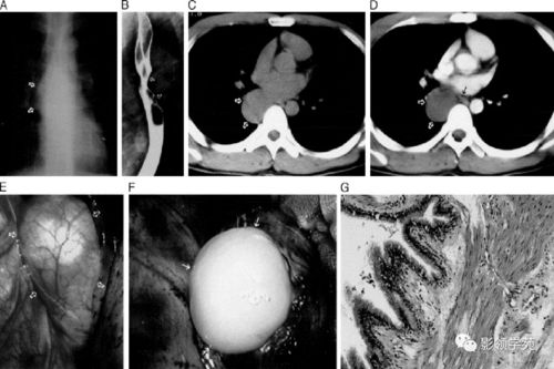 嫡女不得宠(嫡女不容欺免费阅读全文) 嫡女不得宠(嫡女不容欺免费阅读全文)