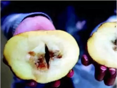 ��ѧ�������̲��ļ���Խ��Խ���� �⼸��������ñܿ�