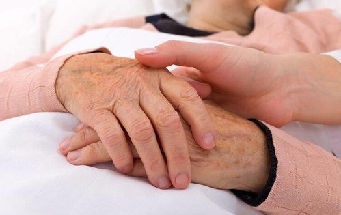 ÷�����߾�����ɫ ÷���ھ�Һ�д��ʱ��