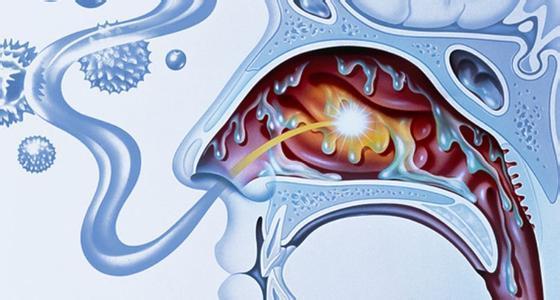 鹿晗资料的女朋友允儿 鹿晗资料的女朋友允儿