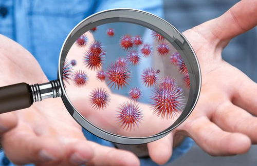 怀孕出轨致孩子染梅毒梅毒的传播有哪些 怀孕出轨致孩子染梅毒梅毒的传播有哪些